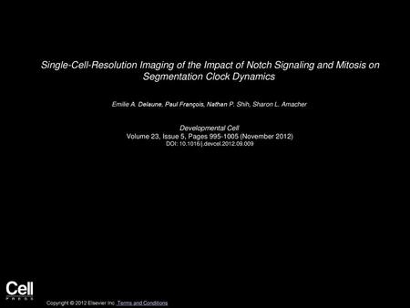 Single-Cell-Resolution Imaging of the Impact of Notch Signaling and Mitosis on Segmentation Clock Dynamics  Emilie A. Delaune, Paul François, Nathan P.