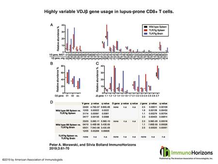 Highly variable VDJβ gene usage in lupus-prone CD8+ T cells.