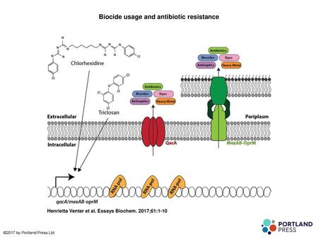 Biocide usage and antibiotic resistance