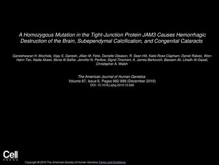 A Homozygous Mutation in the Tight-Junction Protein JAM3 Causes Hemorrhagic Destruction of the Brain, Subependymal Calcification, and Congenital Cataracts 