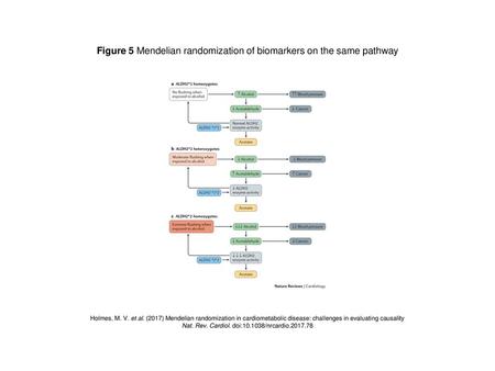 Figure 5 Mendelian randomization of biomarkers on the same pathway