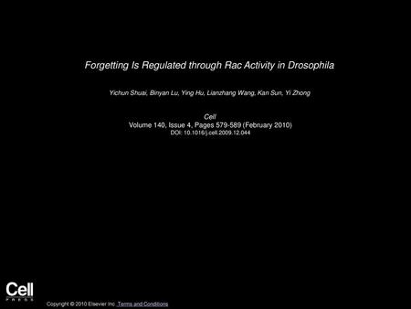 Forgetting Is Regulated through Rac Activity in Drosophila