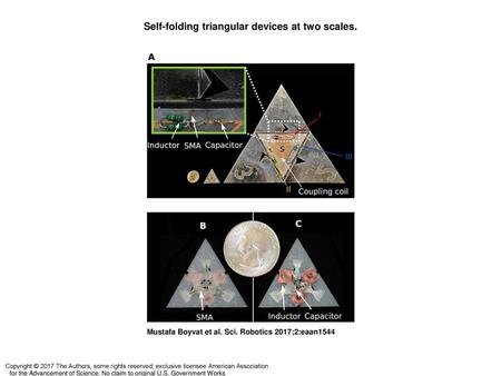 Self-folding triangular devices at two scales.