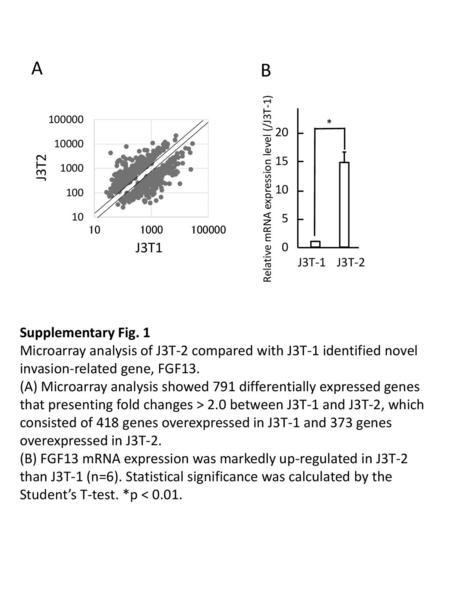 Relative mRNA expression level (/J3T-1)