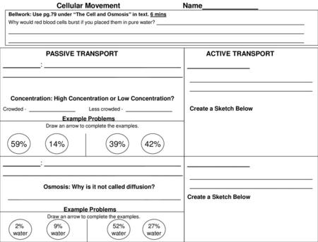 Cellular Movement Name______________