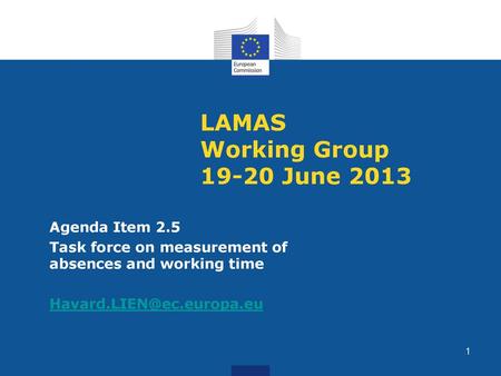 LAMAS Working Group June 2013