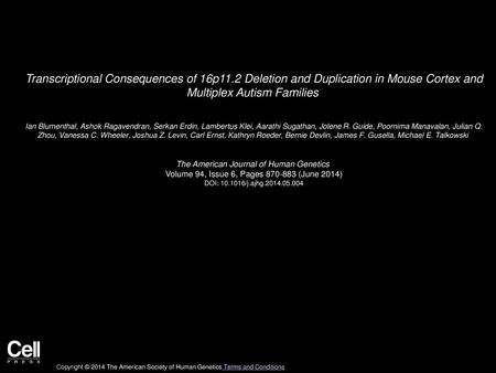 Transcriptional Consequences of 16p11