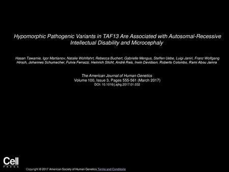 Hypomorphic Pathogenic Variants in TAF13 Are Associated with Autosomal-Recessive Intellectual Disability and Microcephaly  Hasan Tawamie, Igor Martianov,