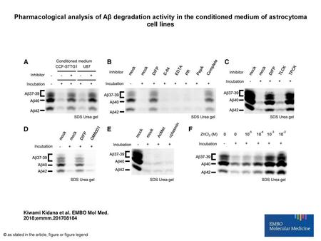 Pharmacological analysis of Aβ degradation activity in the conditioned medium of astrocytoma cell lines Pharmacological analysis of Aβ degradation activity.