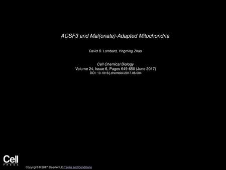 ACSF3 and Mal(onate)-Adapted Mitochondria