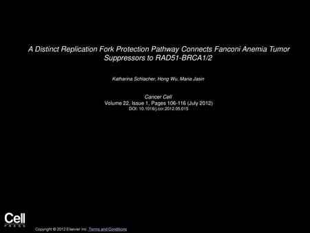 A Distinct Replication Fork Protection Pathway Connects Fanconi Anemia Tumor Suppressors to RAD51-BRCA1/2  Katharina Schlacher, Hong Wu, Maria Jasin 