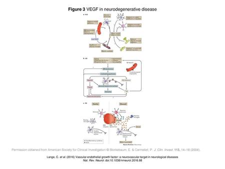 Figure 3 VEGF in neurodegenerative disease