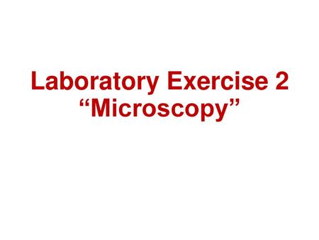 Laboratory Exercise 2 “Microscopy”.