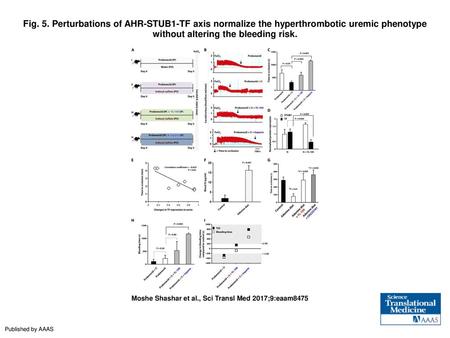 Fig. 5. Perturbations of AHR-STUB1-TF axis normalize the hyperthrombotic uremic phenotype without altering the bleeding risk. Perturbations of AHR-STUB1-TF.