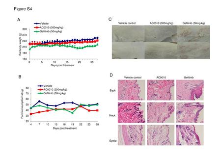 Figure S4 A C Vehicle control AC0010 (300mg/kg) Gefitinib (50mg/kg) D