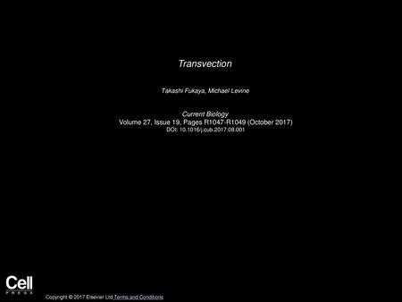 Transvection Current Biology