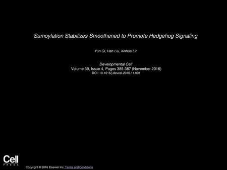 Sumoylation Stabilizes Smoothened to Promote Hedgehog Signaling