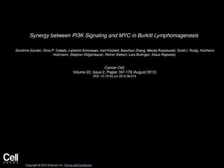 Synergy between PI3K Signaling and MYC in Burkitt Lymphomagenesis