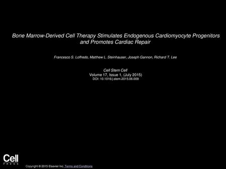 Bone Marrow-Derived Cell Therapy Stimulates Endogenous Cardiomyocyte Progenitors and Promotes Cardiac Repair  Francesco S. Loffredo, Matthew L. Steinhauser,