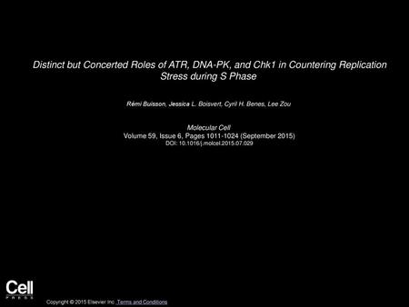 Distinct but Concerted Roles of ATR, DNA-PK, and Chk1 in Countering Replication Stress during S Phase  Rémi Buisson, Jessica L. Boisvert, Cyril H. Benes,