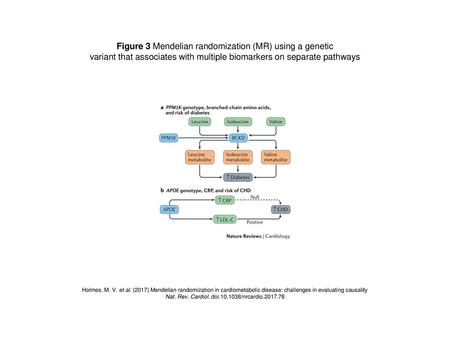 Figure 3 Mendelian randomization (MR) using a genetic