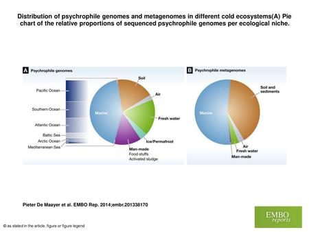 Distribution of psychrophile genomes and metagenomes in different cold ecosystems(A) Pie chart of the relative proportions of sequenced psychrophile genomes.