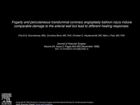 Fogarty and percutaneous transluminal coronary angioplasty balloon injury induce comparable damage to the arterial wall but lead to different healing.