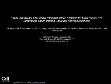 Adeno-Associated Viral Vector-Mediated mTOR Inhibition by Short Hairpin RNA Suppresses Laser-Induced Choroidal Neovascularization  Tae Kwann Park, Si.