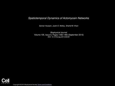 Spatiotemporal Dynamics of Actomyosin Networks