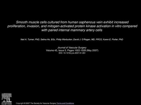 Smooth muscle cells cultured from human saphenous vein exhibit increased proliferation, invasion, and mitogen-activated protein kinase activation in vitro.