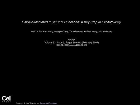 Calpain-Mediated mGluR1α Truncation: A Key Step in Excitotoxicity