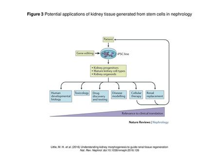 Nat. Rev. Nephrol. doi: /nrneph