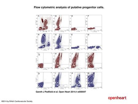 Flow cytometric analysis of putative progenitor cells.