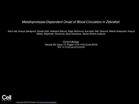 Metalloprotease-Dependent Onset of Blood Circulation in Zebrafish