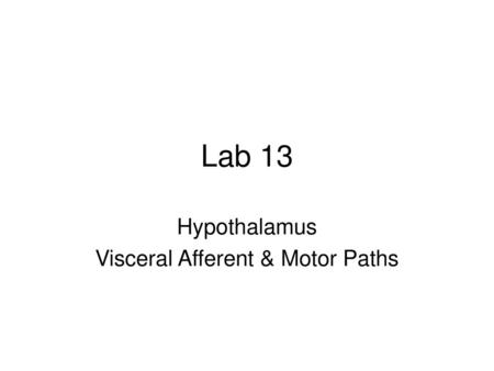 Hypothalamus Visceral Afferent & Motor Paths