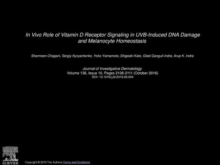 In Vivo Role of Vitamin D Receptor Signaling in UVB-Induced DNA Damage and Melanocyte Homeostasis  Sharmeen Chagani, Sergiy Kyryachenko, Yoko Yamamoto,