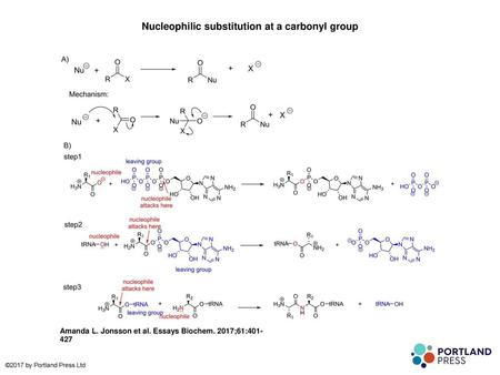 Nucleophilic substitution at a carbonyl group