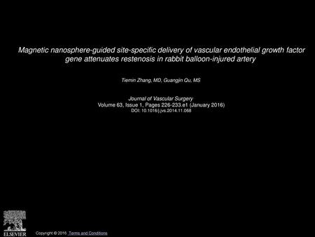 Magnetic nanosphere-guided site-specific delivery of vascular endothelial growth factor gene attenuates restenosis in rabbit balloon-injured artery  Tiemin.