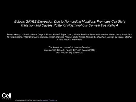 Ectopic GRHL2 Expression Due to Non-coding Mutations Promotes Cell State Transition and Causes Posterior Polymorphous Corneal Dystrophy 4  Petra Liskova,