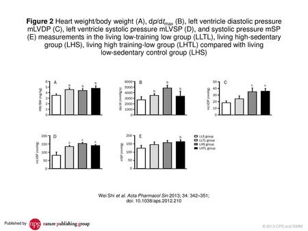 low-sedentary control group (LHS)