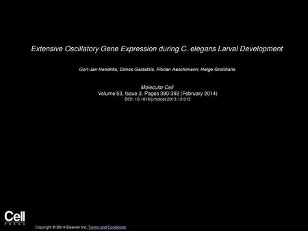 Extensive Oscillatory Gene Expression during C