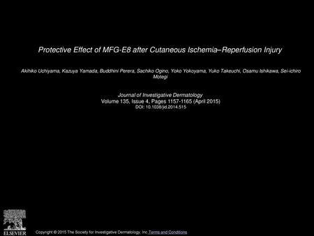 Protective Effect of MFG-E8 after Cutaneous Ischemia–Reperfusion Injury  Akihiko Uchiyama, Kazuya Yamada, Buddhini Perera, Sachiko Ogino, Yoko Yokoyama,