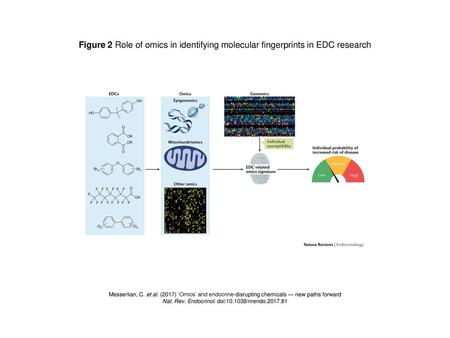 Nat. Rev. Endocrinol. doi: /nrendo