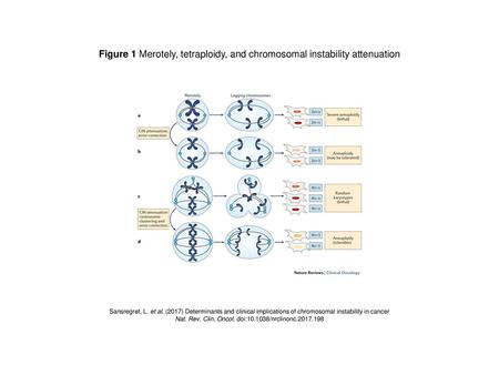 Nat. Rev. Clin. Oncol. doi: /nrclinonc