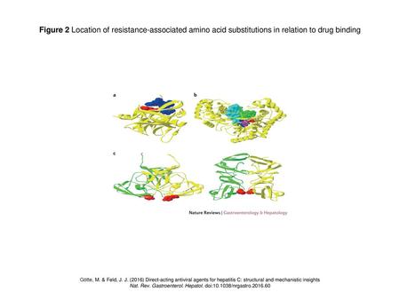 Nat. Rev. Gastroenterol. Hepatol. doi: /nrgastro