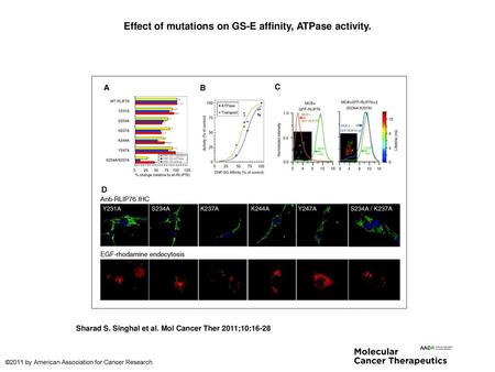 Effect of mutations on GS-E affinity, ATPase activity.