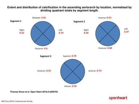 Extent and distribution of calcification in the ascending aorta/arch by location, normalised by dividing quadrant totals by segment length. Extent and.