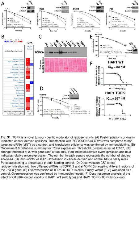 A B C E F D IC50 = 567 nM IC50 = 83 nM HAP1 WT HAP1 TOPK