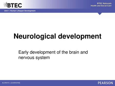 Neurological development