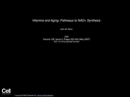 Vitamins and Aging: Pathways to NAD+ Synthesis